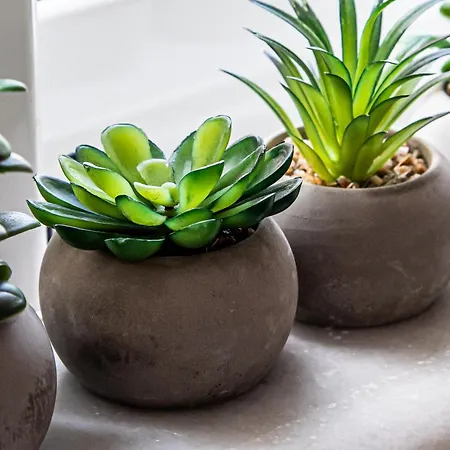 아파트 Easy Living *