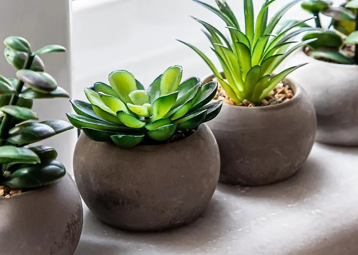 Appartamento Easy Living *