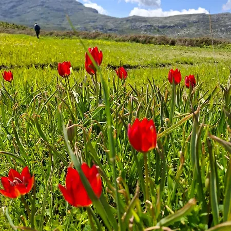 Easy Living דירה